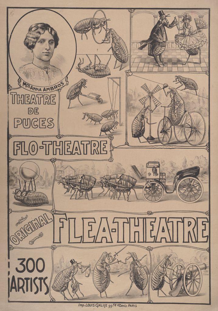 Poster for a flea circus